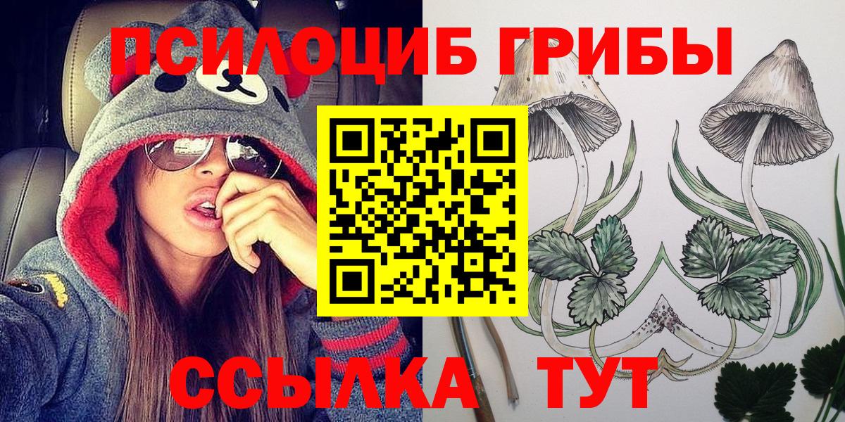 Волгодонск  Галлюциногенные грибы Magic Shrooms  Псилоцибиновые грибы GOLDEN TEACHER  Вход с VPN 