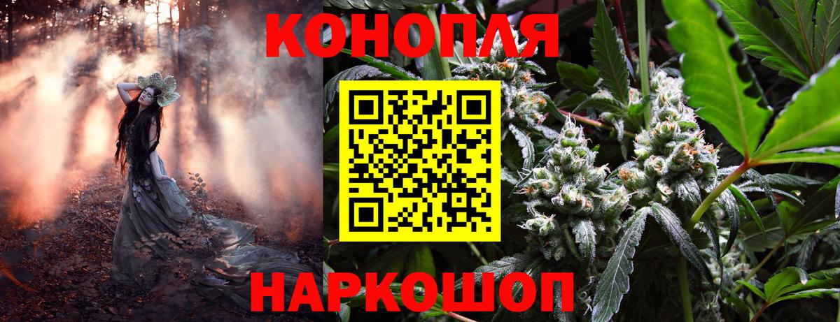 Бошки марихуана ГИДРОПОН Волгодонск